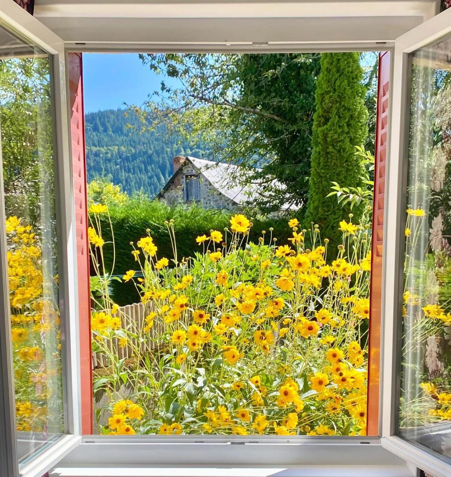 Hotel Restaurant Du Plomb Du Cantal Murat  Dış mekan fotoğraf